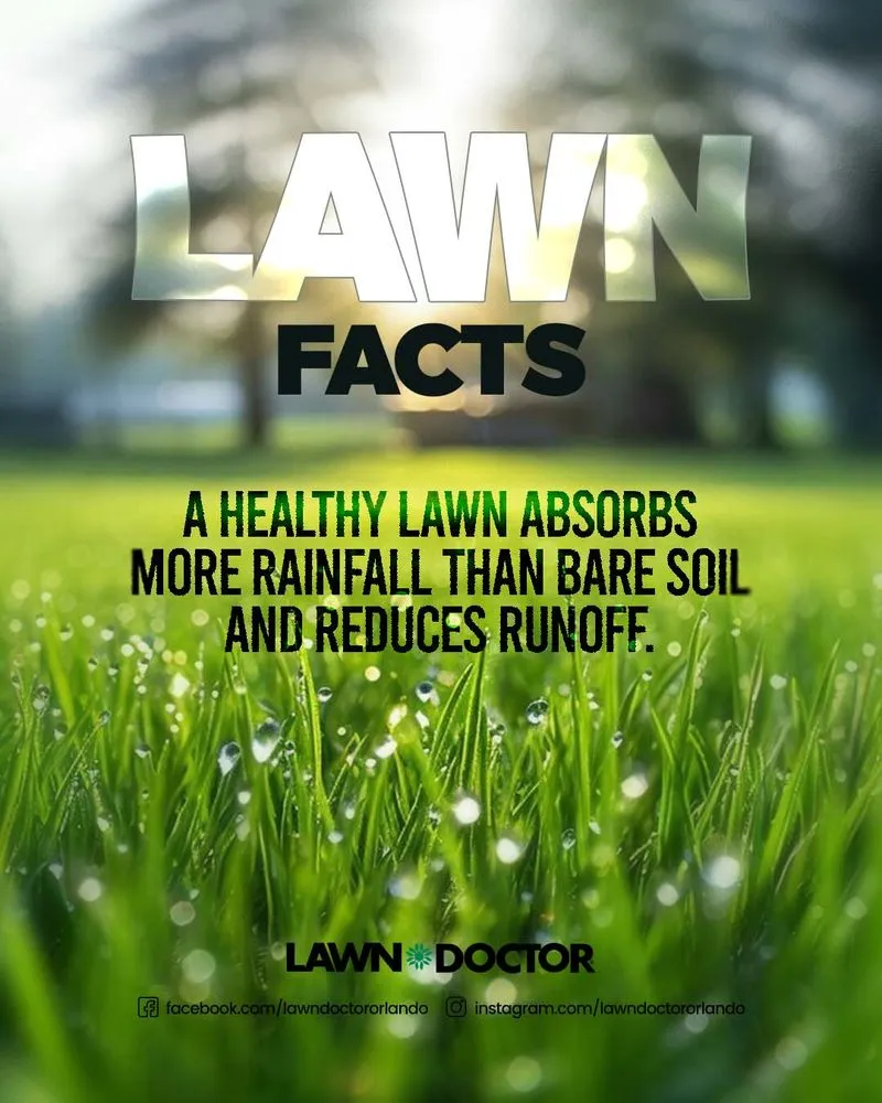 Local yard cleanup service in Clermont, FL by Lawn Doctor