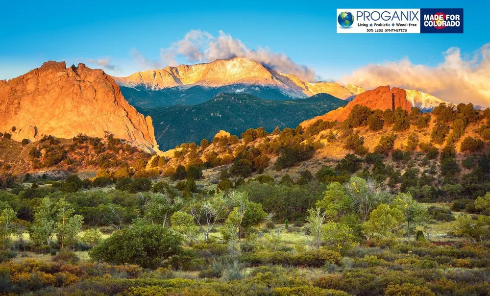 Professional outdoor landscaping experts serving Colorado Springs, CO - Lawn Doctor