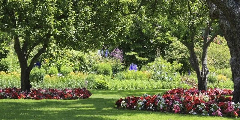 Local yard maintenance in Colorado Springs, CO by Lawn Doctor