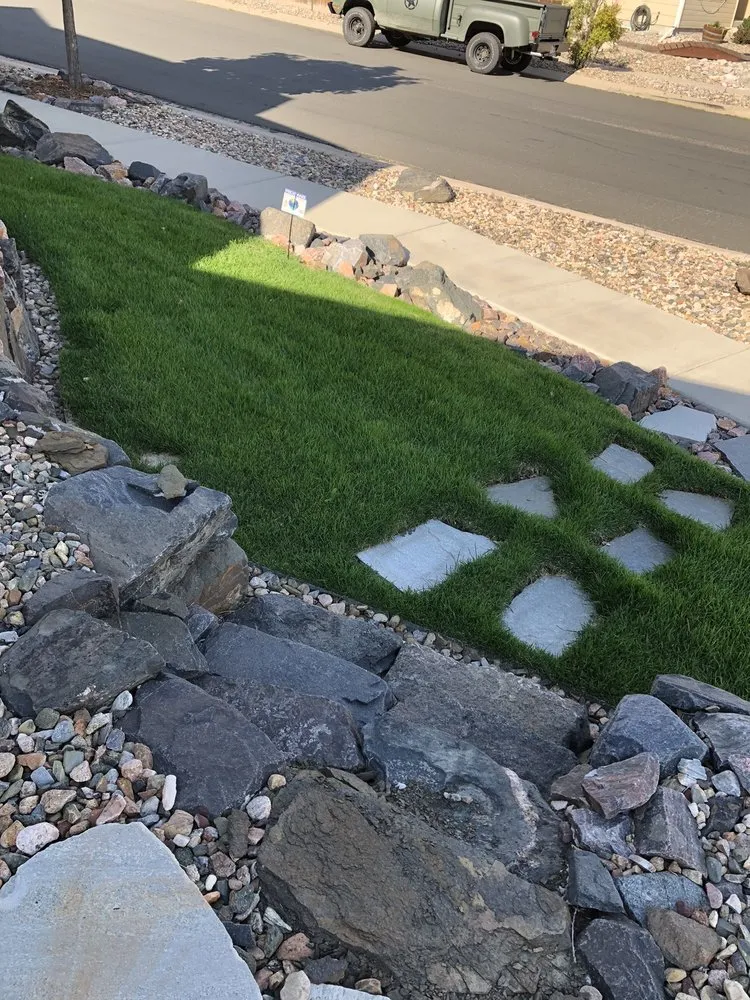 Professional yard cleanup service in Colorado Springs, CO - Lawn Doctor