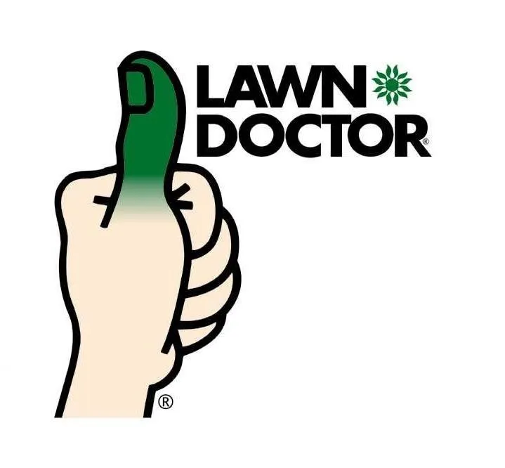 Custom residential landscaping for beautiful yards across Colorado Springs, CO - Lawn Doctor