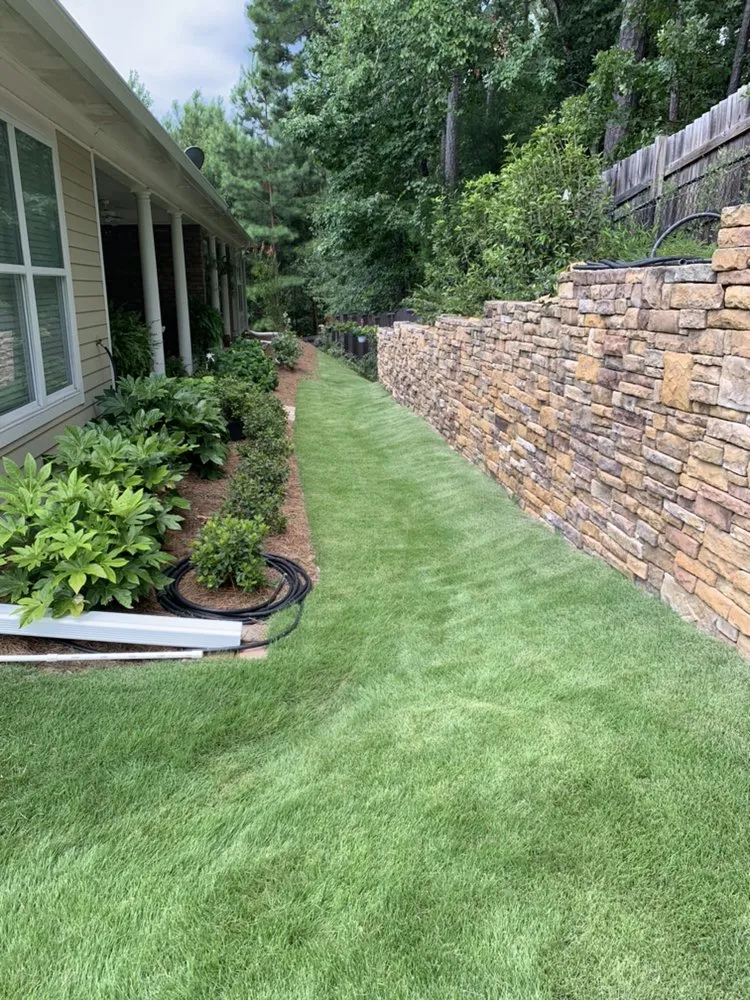 Expert yard maintenance for outdoor upgrades across Columbus, GA - Lawn Doctor