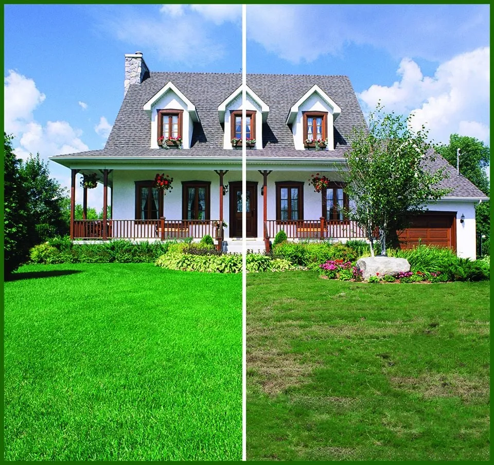 Affordable lawn mowing service for homes across Danbury, CT - Lawn Doctor