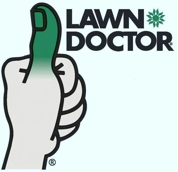 Professional residential landscaping in Dubuque, IA - Lawn Doctor