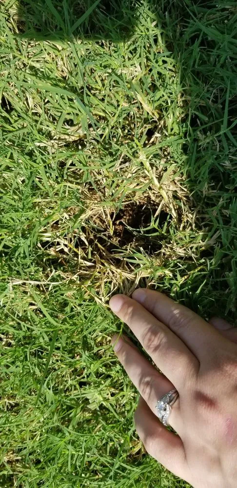 Expert landscape installation experts serving Edmond, OK - Lawn Doctor