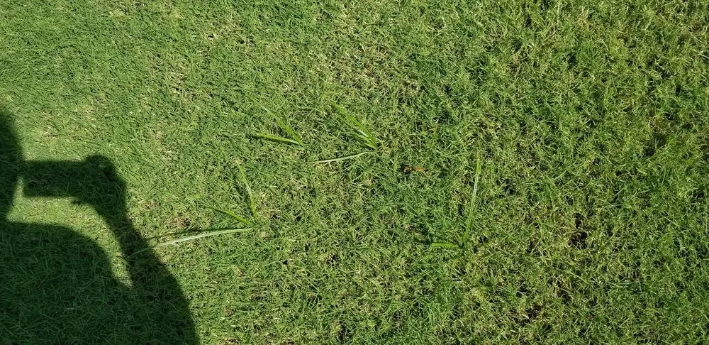 Custom outdoor landscaping in Edmond, OK - Lawn Doctor