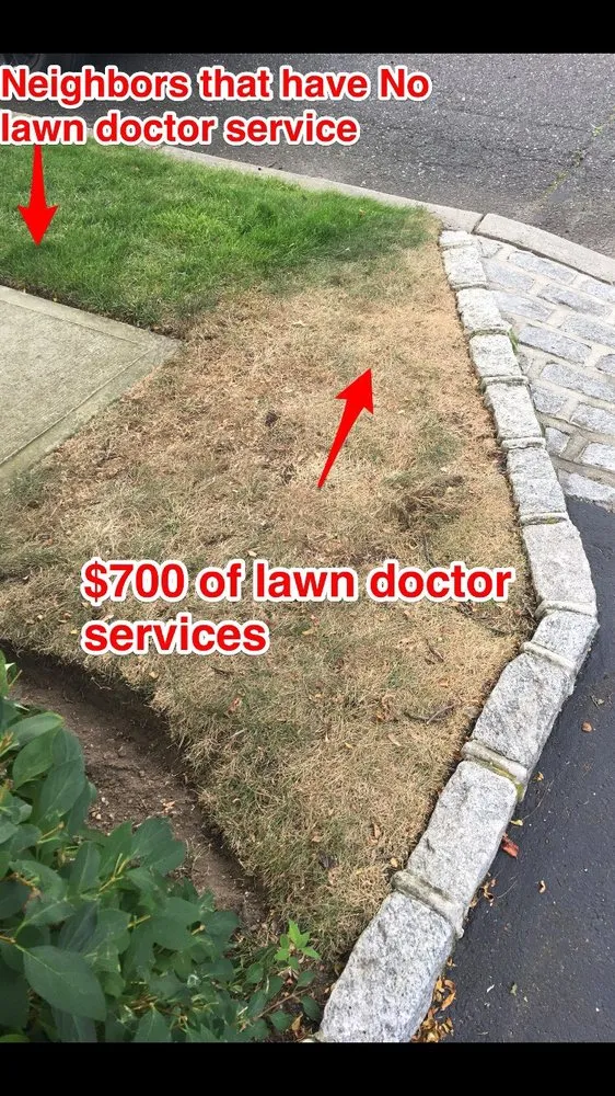 Trusted outdoor landscaping in Farmingdale, NY - Lawn Doctor