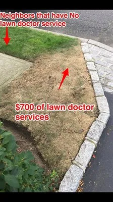 Lawn Doctor