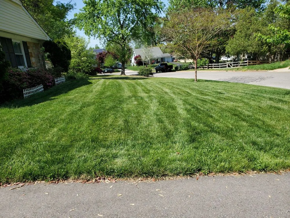 Custom landscape design experts serving Finksburg, MD - Lawn Doctor