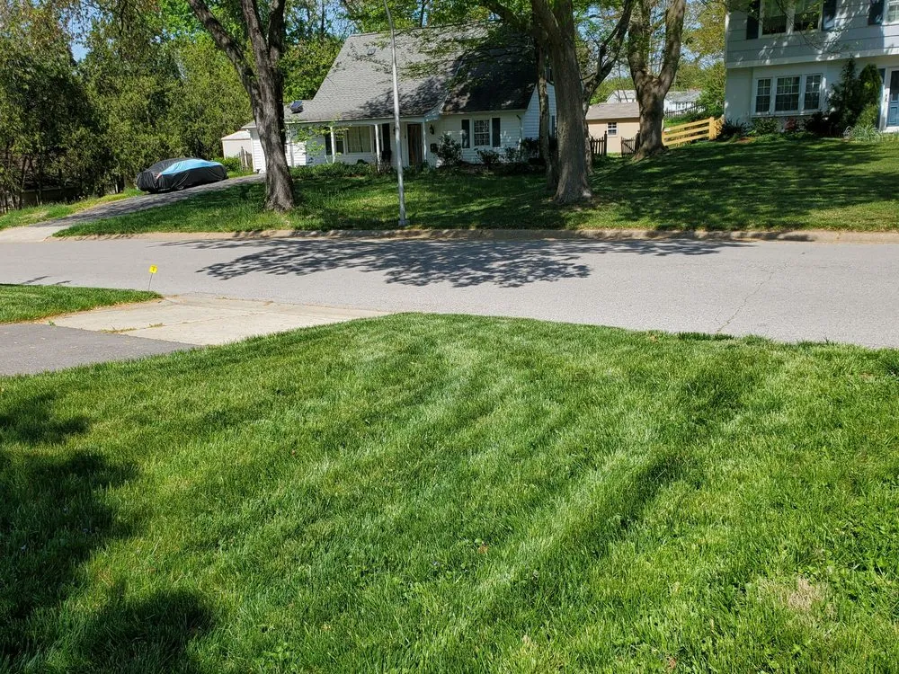 Professional yard maintenance for residential properties in Finksburg, MD by Lawn Doctor
