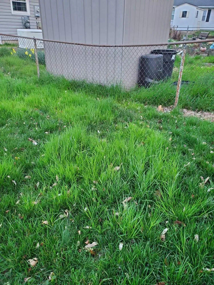 Trusted landscape design experts serving Finksburg, MD - Lawn Doctor
