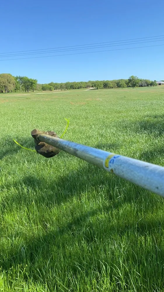 Trusted residential landscaping in Gainesville, TX by Lawn Doctor