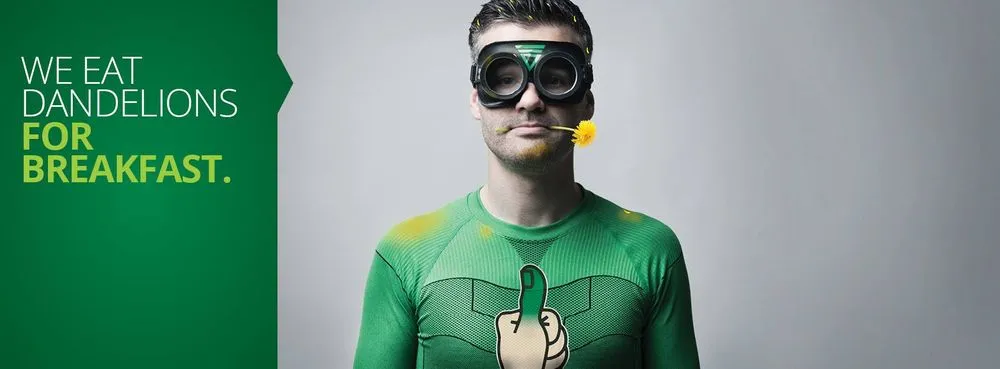 Top-rated residential landscaping for homes across Holmdel, NJ - Lawn Doctor