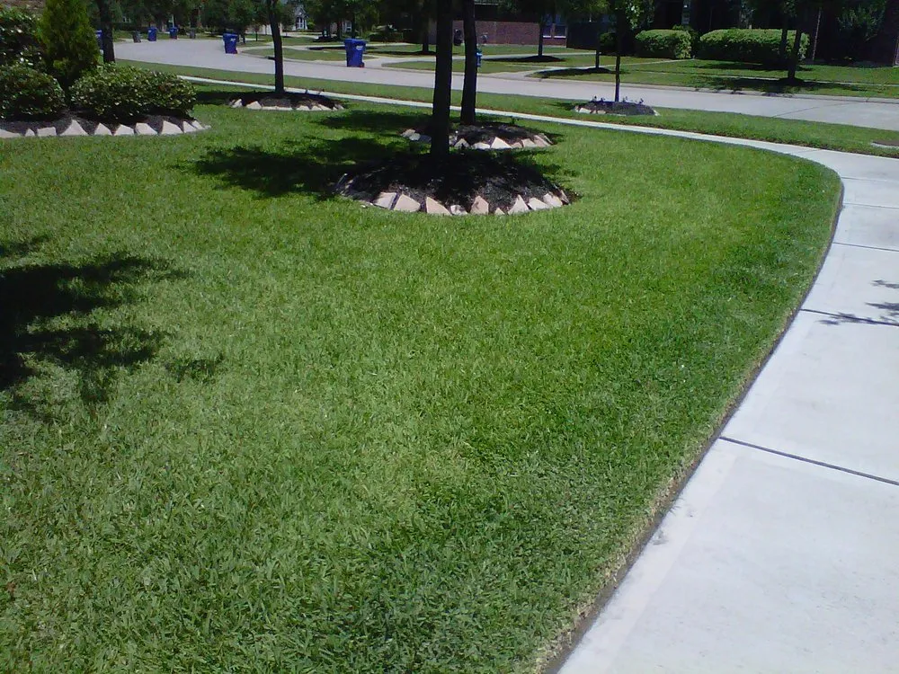 Affordable landscape installation experts serving Houston, TX - Lawn Doctor