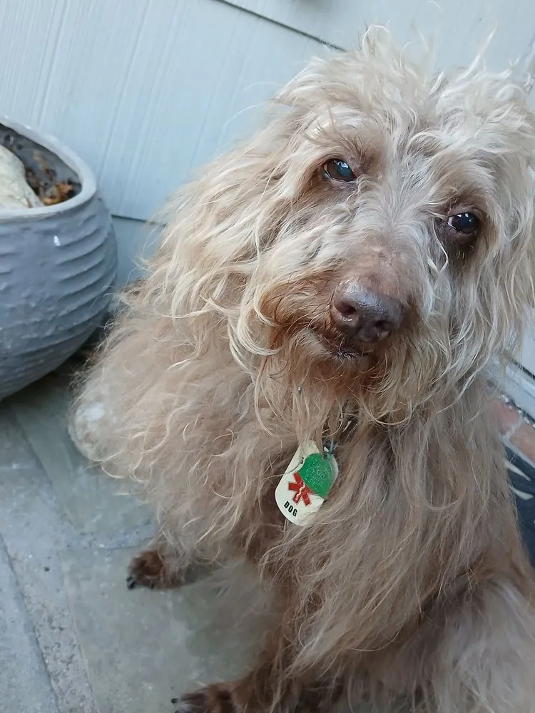 Affordable yard cleanup service in Huntington, NY by Lawn Doctor