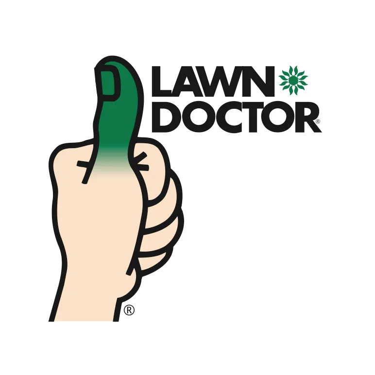 Trusted yard cleanup service in Jackson, NJ by Lawn Doctor
