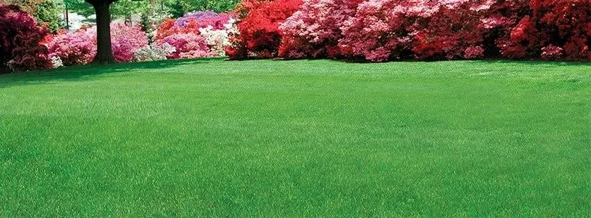 Custom outdoor landscaping near you across Jackson, NJ - Lawn Doctor
