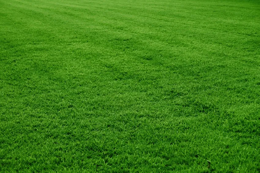 Professional landscape installation in Jackson, NJ - Lawn Doctor