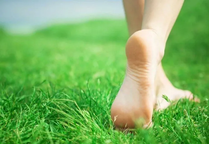 Top-rated lawn care service for beautiful yards across La Crosse, WI - Lawn Doctor