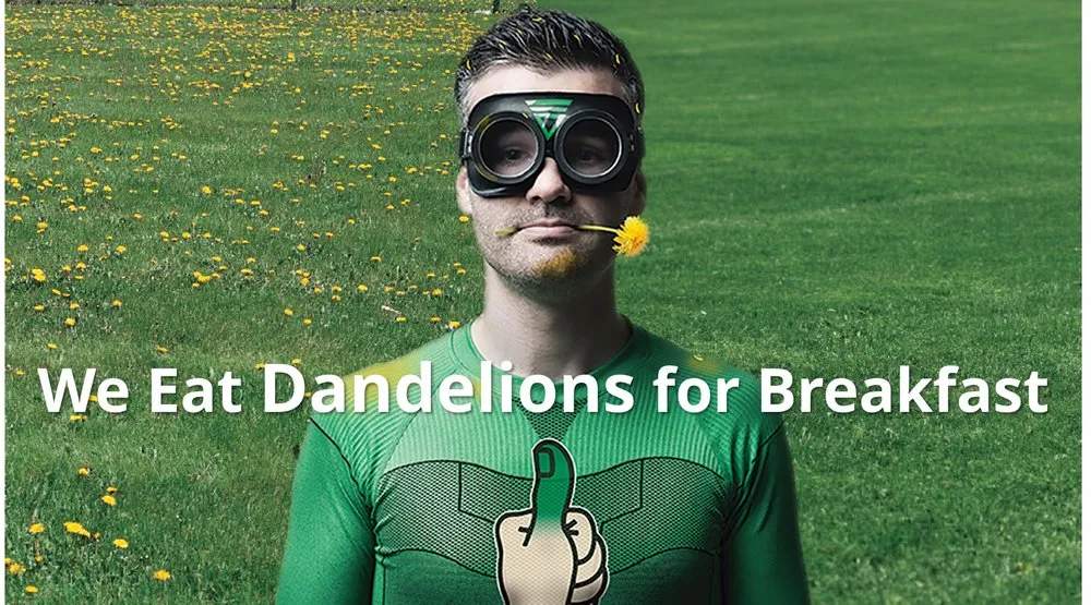 Trusted lawn care service in Lake Zurich, IL - Lawn Doctor