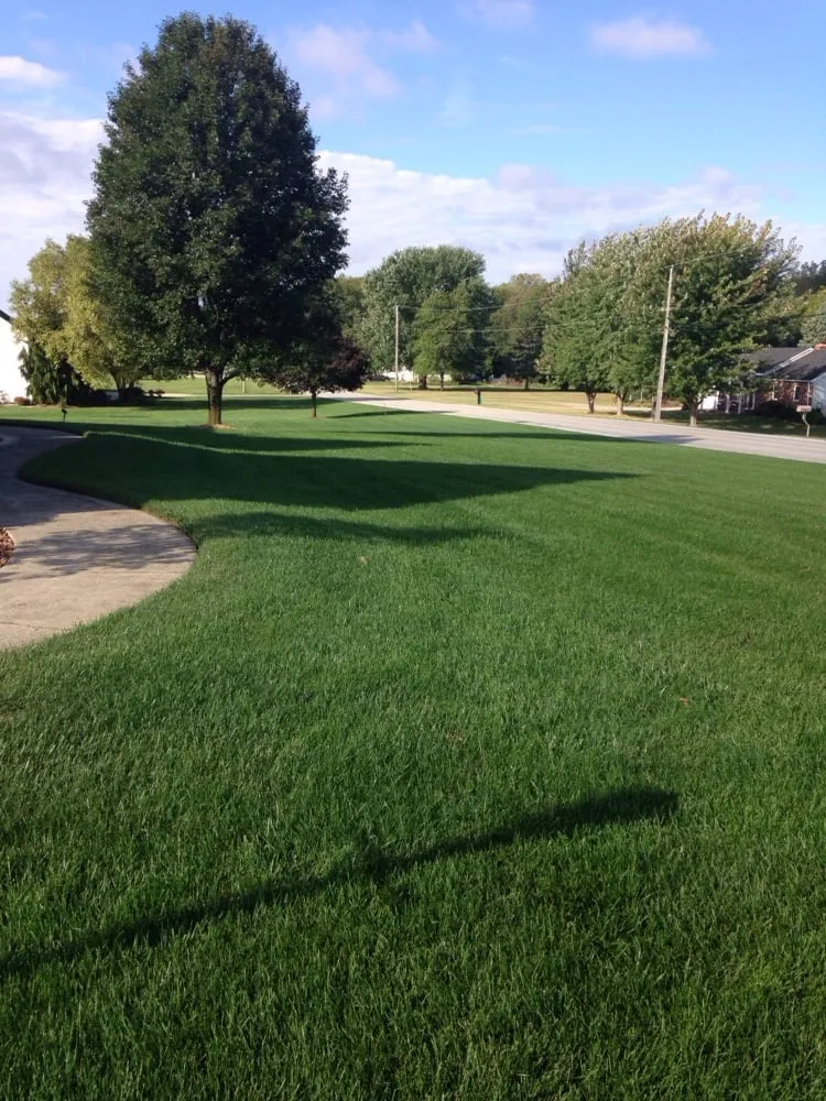 Reliable yard maintenance in Lakeside Marblehead, OH - Lawn Doctor