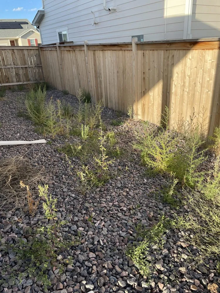 Reliable landscape design experts serving Lakewood, CO - Lawn Doctor