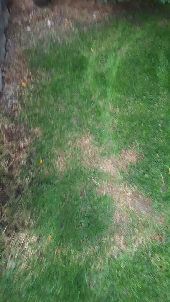 Expert outdoor landscaping with custom design in Lakewood, CO by Lawn Doctor