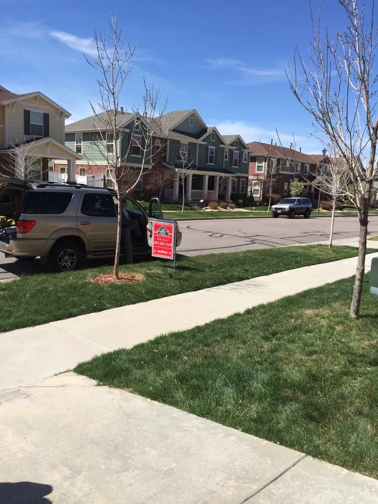 Reliable garden landscaping for residential properties in Lakewood, CO by Lawn Doctor