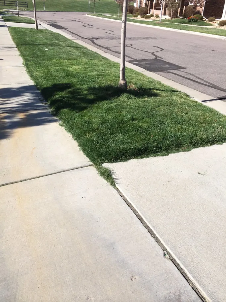 Affordable outdoor landscaping in Lakewood, CO by Lawn Doctor