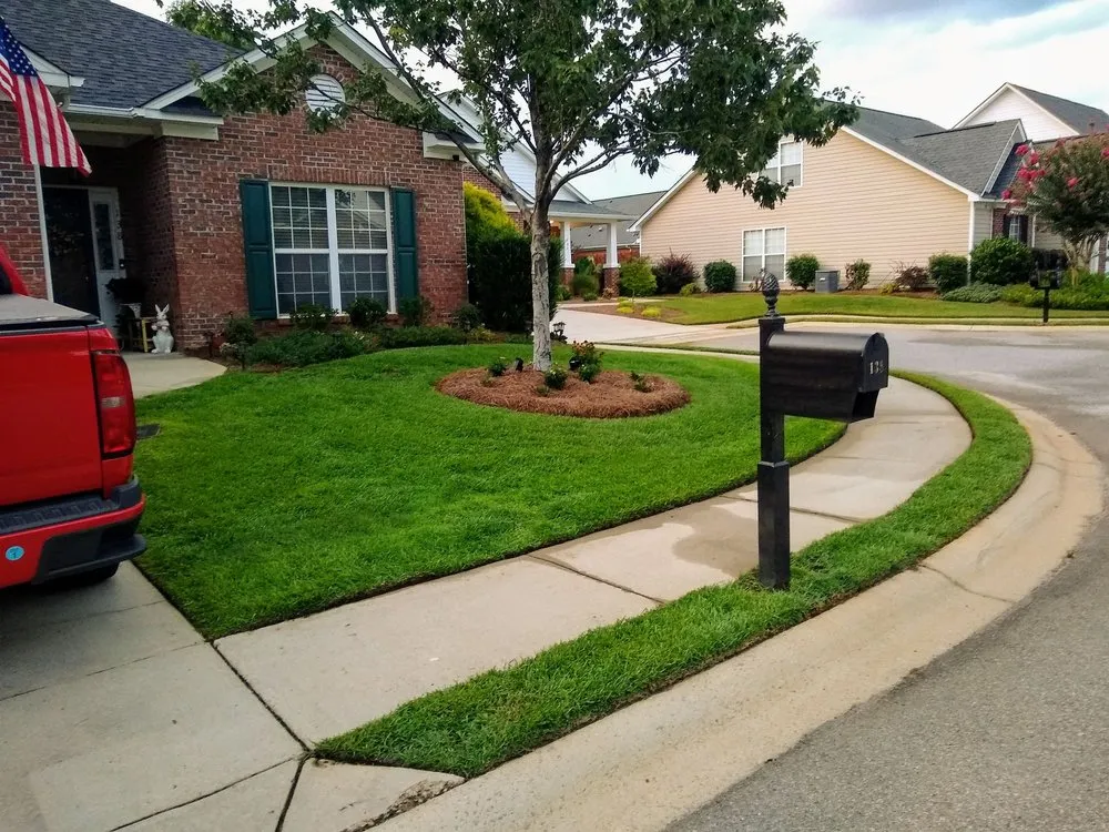 Professional yard cleanup service for beautiful yards across Lexington, SC - Lawn Doctor