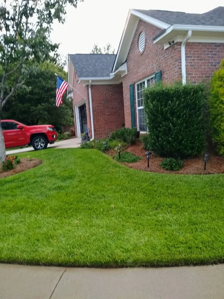 Reliable yard cleanup service for residential properties across Lexington, SC - Lawn Doctor