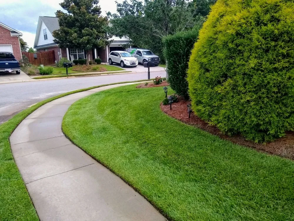 Trusted yard cleanup service for residential properties across Lexington, SC - Lawn Doctor
