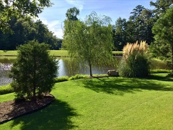 Local landscape design for year-round maintenance in Little Rock, AR by Lawn Doctor