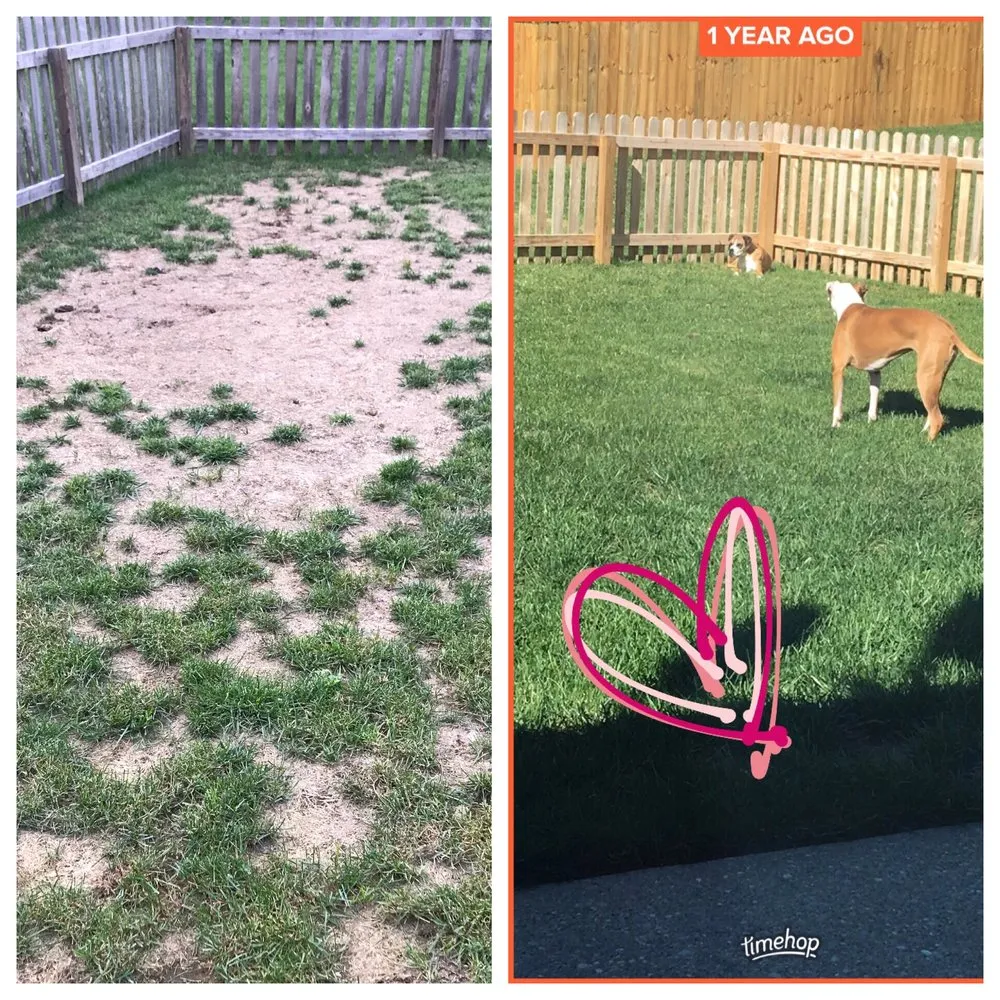 Custom landscape design with custom design in Louisville, KY by Lawn Doctor