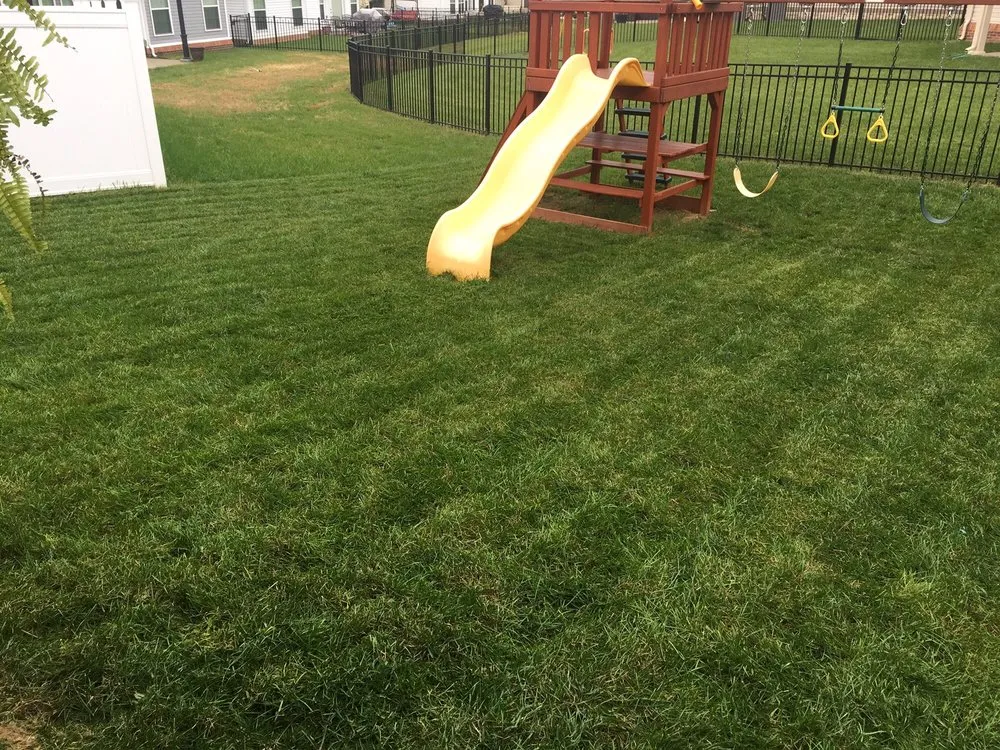 Reliable landscaping services with custom design across Louisville, KY - Lawn Doctor