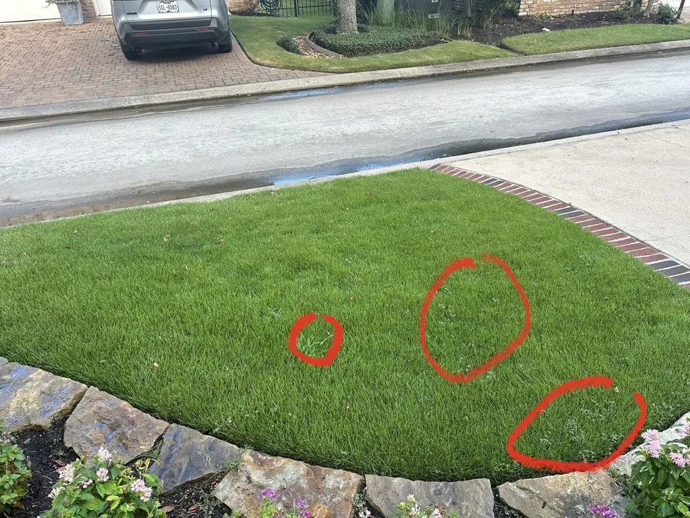 Expert yard maintenance with custom design across Magnolia, TX - Lawn Doctor