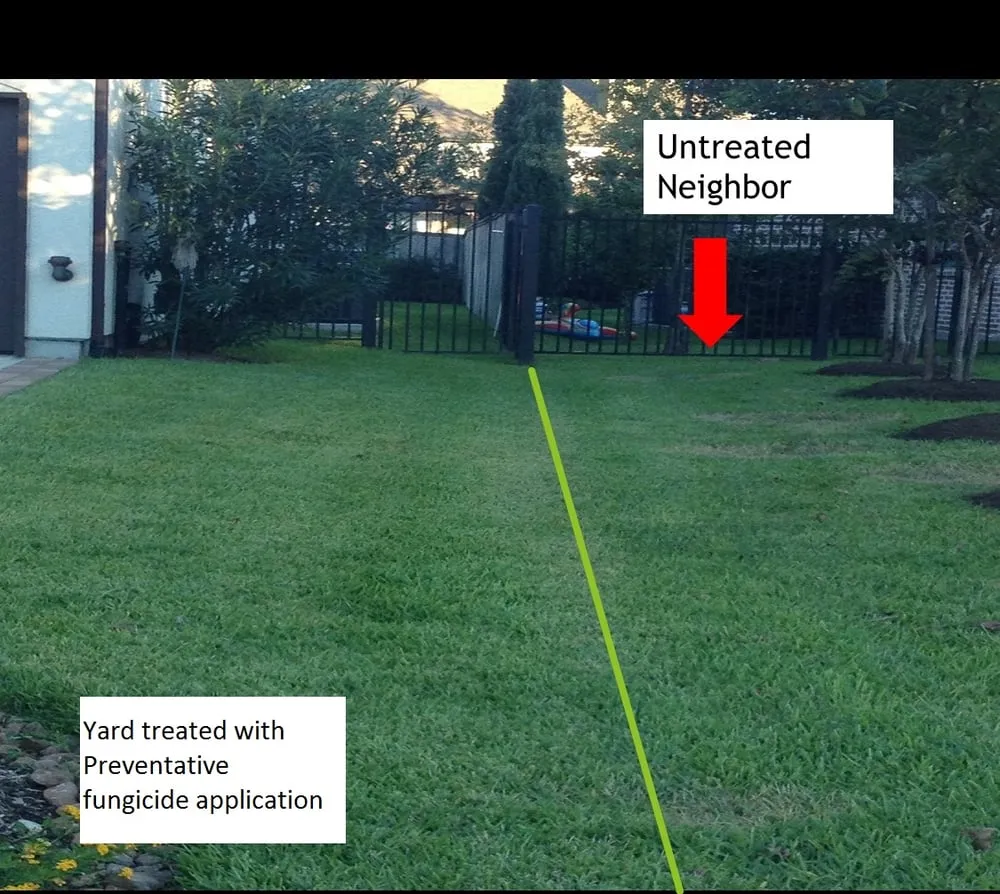 Top-rated yard maintenance in Magnolia, TX - Lawn Doctor