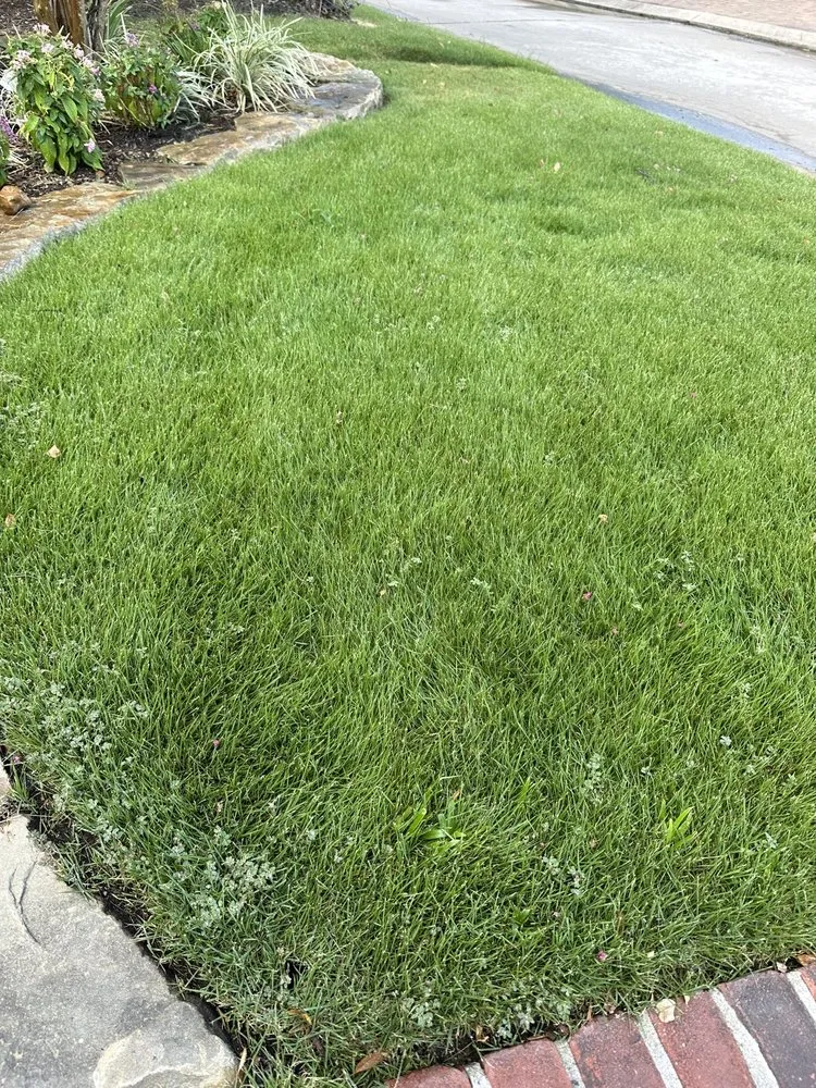 Local landscape design near you in Magnolia, TX by Lawn Doctor