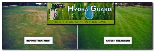 Reliable yard maintenance for year-round maintenance across Marietta, GA - Lawn Doctor