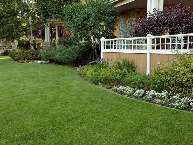 Affordable yard maintenance in Marietta, GA - Lawn Doctor