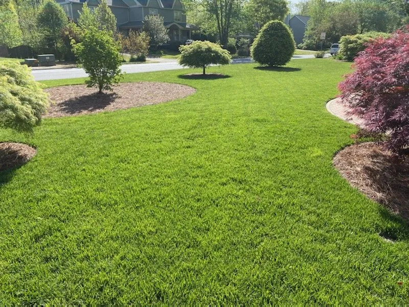 Expert garden landscaping with custom design in Marietta, GA by Lawn Doctor