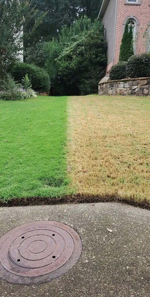 Expert yard cleanup service with custom design across Marietta, GA - Lawn Doctor