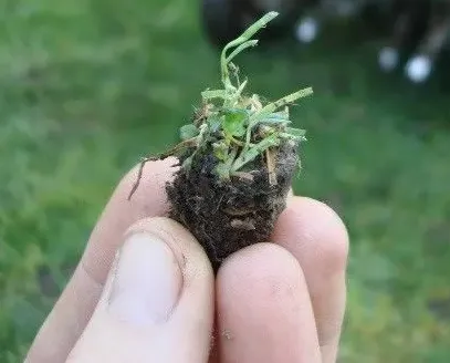 Custom garden landscaping for outdoor upgrades across Marietta, GA - Lawn Doctor