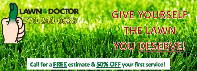 Top-rated landscape installation experts serving Marietta, GA - Lawn Doctor