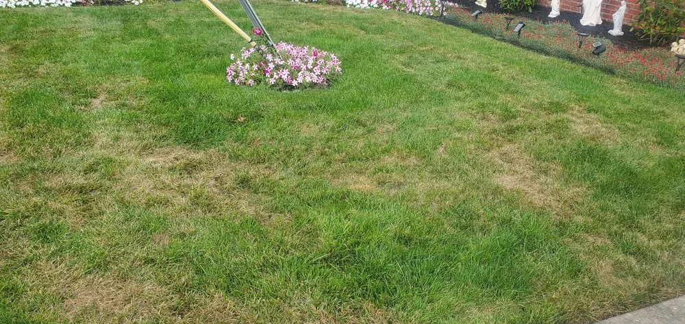 Trusted yard maintenance experts serving Mullica Hill, NJ - Lawn Doctor