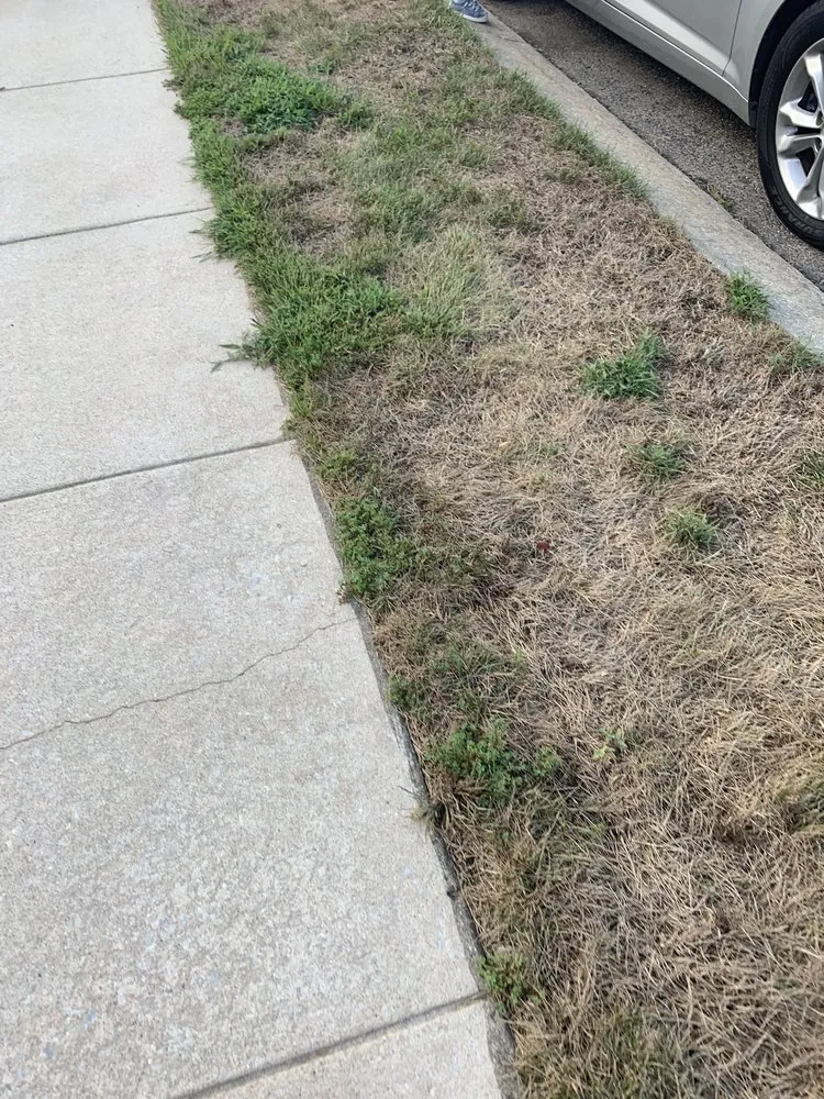 Professional landscaping services in Mullica Hill, NJ by Lawn Doctor