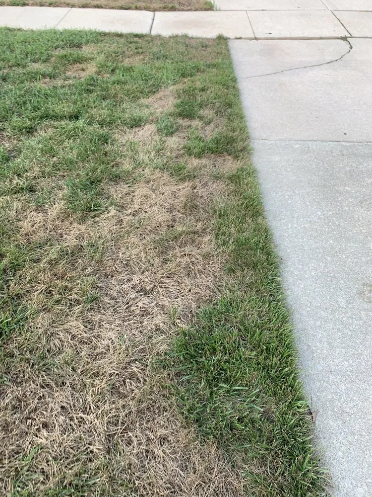 Affordable lawn care service in Mullica Hill, NJ by Lawn Doctor