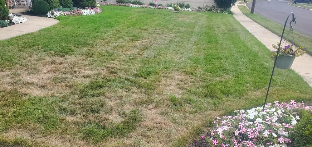 Expert landscape installation experts serving Mullica Hill, NJ - Lawn Doctor