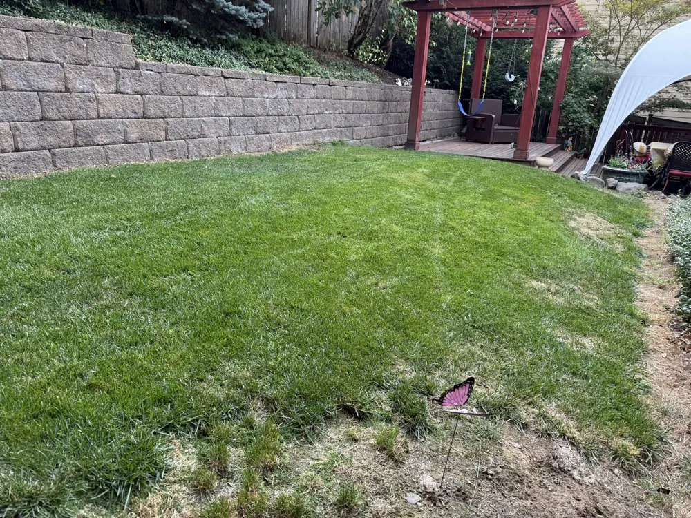 Custom landscaping services experts serving Newberg, OR - Lawn Doctor