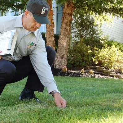 Trusted yard maintenance with custom design in Newnan, GA by Lawn Doctor